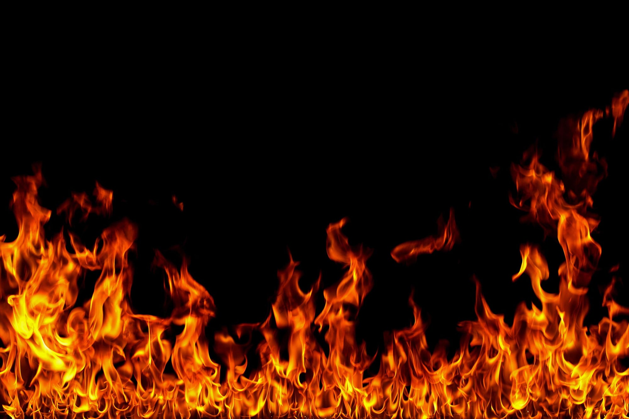 HOT PICKS